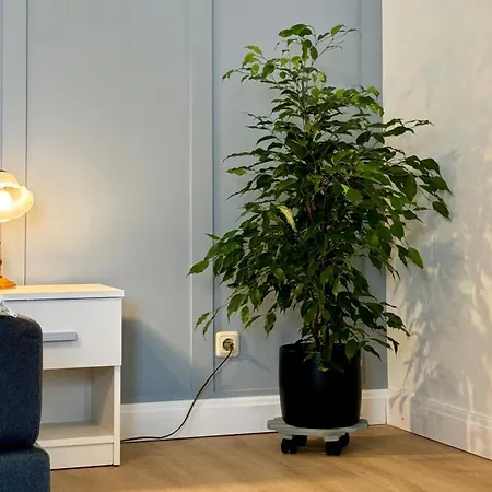 Smiles Homes 52m2 Im Mauritius - Privatparkplatz Kostenfrei, Fruehstueck Buchbar, Direkt Im Zentrum *