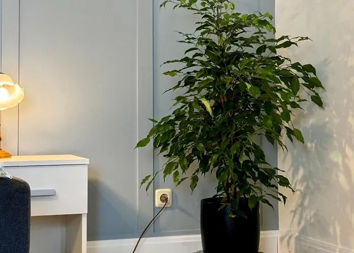 Smiles Homes 52m2 Im Mauritius - Privatparkplatz Kostenfrei, Fruehstueck Buchbar, Direkt Im Zentrum *